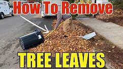 Most Efficient Way To Pick Up Fall Leaves Step by Step DIY | How To Rake Leaves The Easy Way