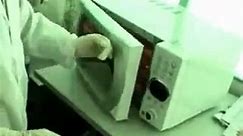 paper tableware microwave oven test