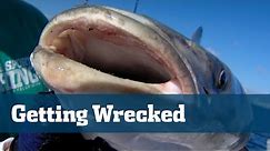 Wreck Fishing Snapper Grouper - Florida Sport Fishing TV - Best Bait, tackle, Rigs, Location