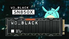 WD_BLACK™ SN850X NVMe™ SSD CM