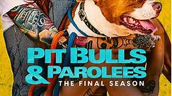 Pit Bulls and Parolees: Season 19 Episode 4 Bad Reputation