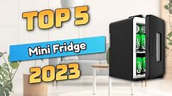 Best Mini Fridge 2023 (TOP5)