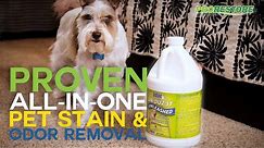 How to Remove Pet Urine Stains & Odors with Unleashed