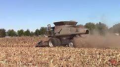 GLEANER S78 Combine Harvesting Corn