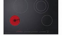 Fisher & Paykel Series 5 30-Inch Commercial Electric Cooktop in Black - CE304DTB1