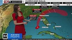 Tracking Hurricane Idalia 8/29/2023 11AM