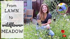 I Planted A Wildflower Meadow 🌼🐝🦋| Amazing Lawn Transformation | From Seeds to Blooms