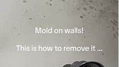 How to remove mold on bathroom walls! Fast and easy way #ecolab #homedepot #clean #cleaning #white #yellow #mold #mildew #walls #microfiber #cloth #cleantok #cleaninghack #beforeandafter