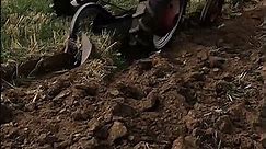 Farmall Cub Plowing