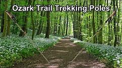 Ozark Trail Trekking Poles