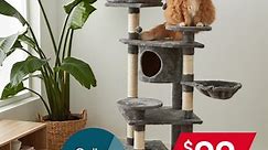 Kmart Australia - Furry family members will love our...