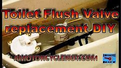 Toilet Flush Valve replacement. DIY