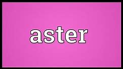 Aster Meaning