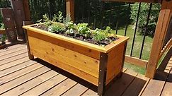 I built this mini garden! You should too!