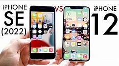 iPhone 12 Vs iPhone SE (2022) In 2023! (Comparison) (Review)