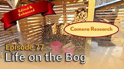 Life on the Bog • Ep. 77 • Camera Research