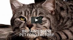 Britain's Giant Pet Food Factory