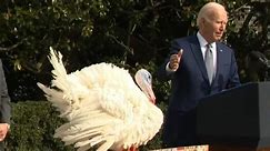 President Biden pardons 2 Thanksgiving turkeys from Minnesota