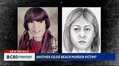 Long Island murder victim identified as missing woman Karen Vergata