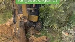 Getting 3 phase electricity sorted | Kingseat Organics