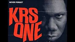 KRS One - The Invaders