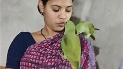 Cute Parrots #parrotvoices #parrottalking #cuteparrotshorts