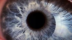 The cornea in the eye appears to resist coronavirus infection, study finds
