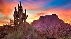 The Best Free Camping Near Saguaro National Park