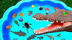 Lots of Zoo Wild Animals in Water For Children With Real Safari Videos