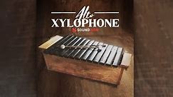 Alto Xylophone percussion instrument for Kontakt on sale for $19 USD