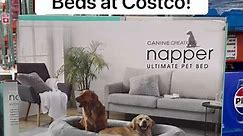 🐶 Ultimate Pet Beds at Costco! These over-sized beds have wrap-around walls, mattress grade foam, a luxurious faux fur, a removable cover, and a non-slip bottom! 👏🏼 Your furry friends will LOVE this! 🥰 ($89.99) #costco #petbed #doglover
