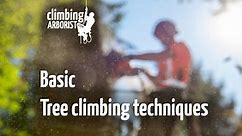 Basic tree climbing techniques : ClimbingArborist.com