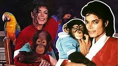 How Many Pets Did Michael Jackson Have? Michael Jackson's Animals | MJ Forever