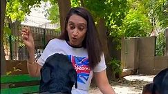 Rottweiler Dog Prank On Wife. Wife Scared & Frightened By Male Rottweiler Bubzee. #shorts #viral