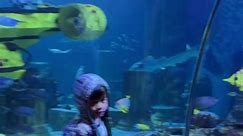 #sealife #aquarium #legoland #highlights #followers #everyone #fypシ゚viralシ #fypシ゚ #trendingnow #TeamHilas #StarsEverywhere #teamhilaskoreananghilas #WeRiseByLiftingOthers | Aida B. Root