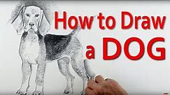 Discover How to Draw a Dog - The Essential Techniques You Need to Know