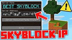 Best Minecraft SkyBlock server to Try in 2024! (1.20) 🍉