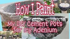 How I paint DIY Cement Pots for my Adenium