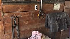 Everyone needs a pellet pallet at the barn!! 😂 #barnlife #horselover #annistinkait #nonnalife Ansley Van Horn Justin Van Horn | Wyndi Hicks Cooper