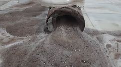 See the miracle of cleanliness on this muddy carpet