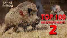 Top 100 wild boar hunts of "Boars and Hunters" SEASON 2
