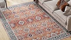 Dripex 9x12 Area Rugs - Stain Resistant Washable Rug Distressed Boho Rugs for Living Room Dining Room Bedroom Anti-Slip Low-Pile and Soft Accent Rug Farmhouse Office Home Decor, Pet & Child Friendly