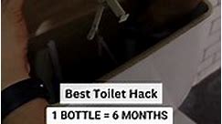 Automatic Toilet Flush Cleaner