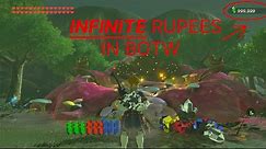 How to Get INFINITE Rupees in Breath of the Wild. (Infinite Rupee Glitch)