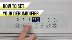 How to Set Your Dehumidifier | Sylvane