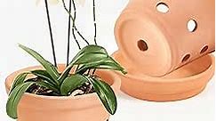 vensovo 8 Inch Clay Orchid Pots with Drainage Holes and Saucers - 2 Pcs Small Terracotta Orchid Planter Pots for Repotting, Plant Flower Pots for Orchid Indoor and Outdoor Promotes Air Circulation
