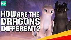 Night Fury VS Light Fury Explained! - What’s The Difference? | How To Train Your Dragon 3