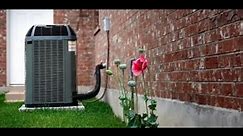 How to cut fossil fuels in your home: Heat Pumps, Induction stoves & Home Electrification [virtual]