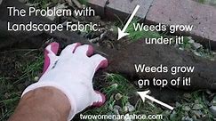 Landscape Fabric - Weed Barrier Cloth does not work