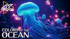 Aquarium 4K VIDEO UHD 🐠 Beautiful Relaxing Coral Reef Fish - Relaxing Sleep Meditation Music #15